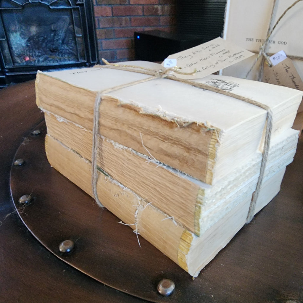 Aged book set bound together with thick jute cord | The Olde 1840