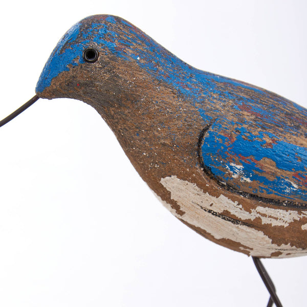 Willet Sitter