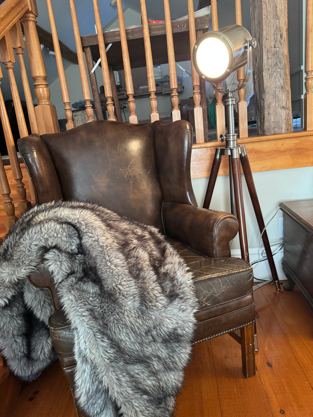 Pottery Barn Photographer's Adjustable Tripod Metal Floor Lamp (52"-73") – Lamps by The Olde 1840