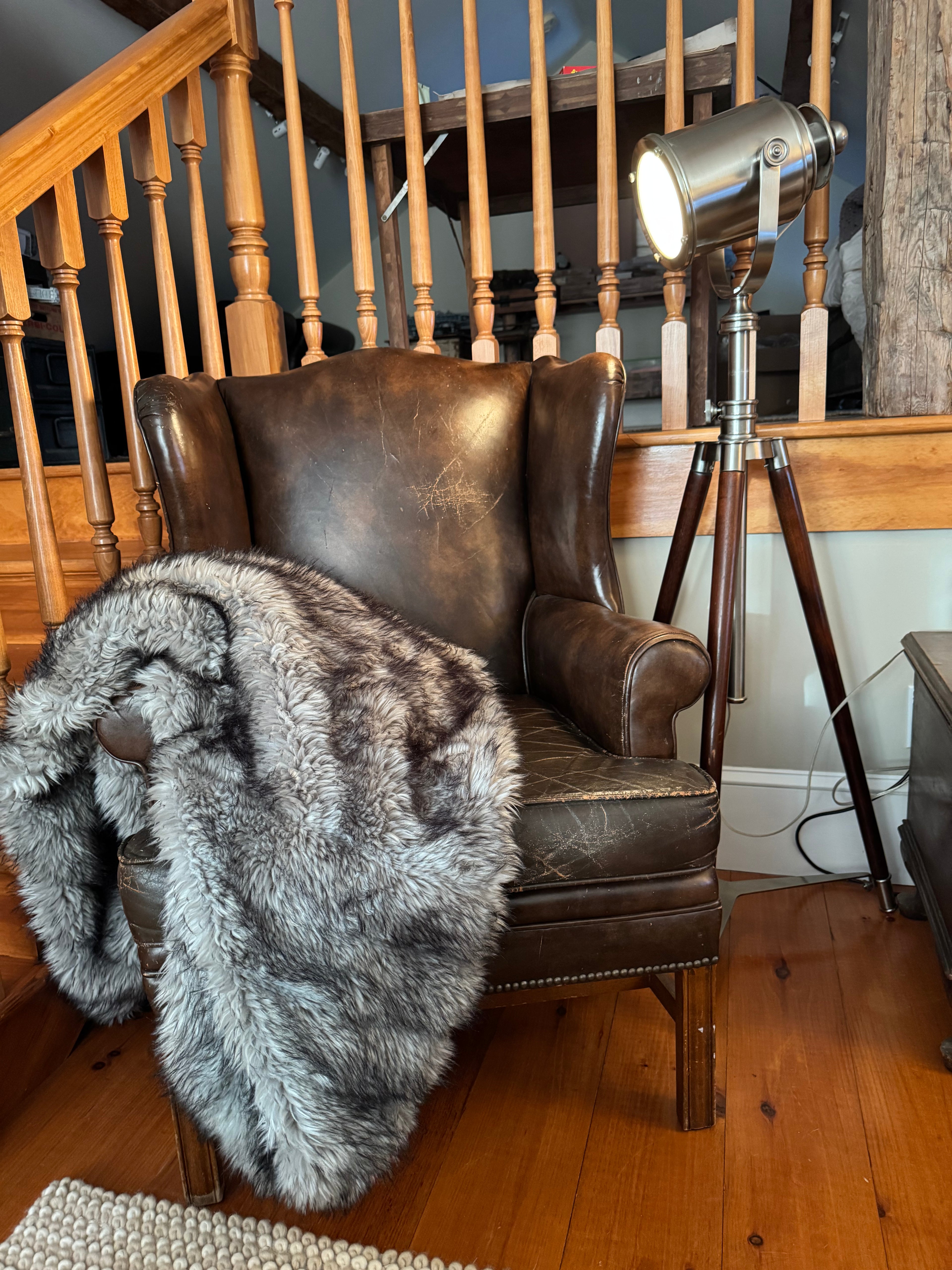 Pottery Barn Photographer's Adjustable Tripod Metal Floor Lamp (52"-73") – Lamps by The Olde 1840