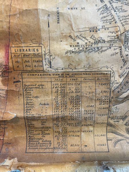 Vintage 1853 Washington County New York Map