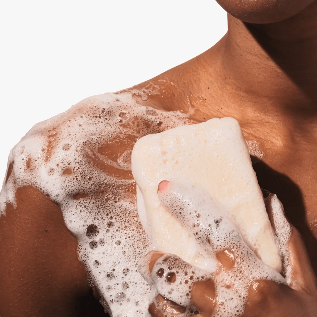 Beekman 1802 Goat Milk - Sunshine Lemon - Large Gift Set – Home & Garden by The Olde 1840