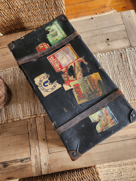Vintage Leather Traveler Luggage