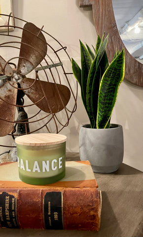 Artificial Potted Snake Plant